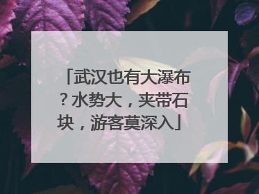 武汉也有大瀑布？水势大，夹带石块，游客莫深入