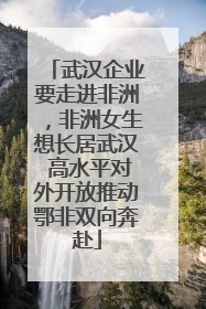 武汉企业要走进非洲，非洲女生想长居武汉 高水平对外开放推动鄂非双向奔赴