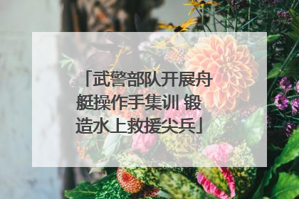 武警部队开展舟艇操作手集训 锻造水上救援尖兵