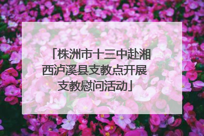 株洲市十三中赴湘西泸溪县支教点开展支教慰问活动