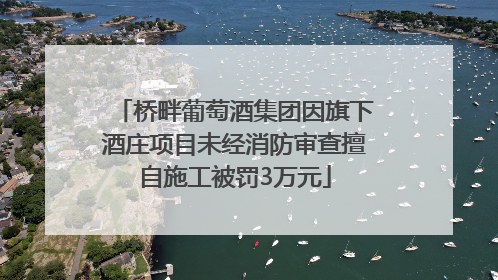 桥畔葡萄酒集团因旗下酒庄项目未经消防审查擅自施工被罚3万元