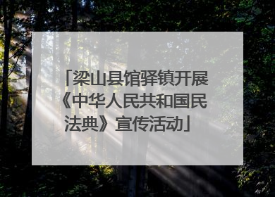 梁山县馆驿镇开展《中华人民共和国民法典》宣传活动