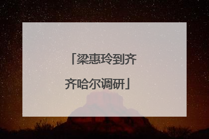 梁惠玲到齐齐哈尔调研