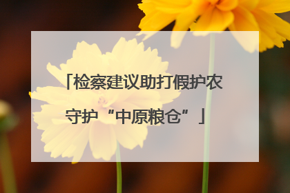 检察建议助打假护农守护“中原粮仓”