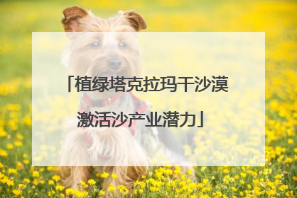 植绿塔克拉玛干沙漠 激活沙产业潜力