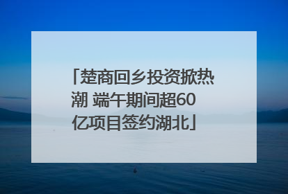 楚商回乡投资掀热潮 端午期间超60亿项目签约湖北