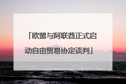 欧盟与阿联酋正式启动自由贸易协定谈判