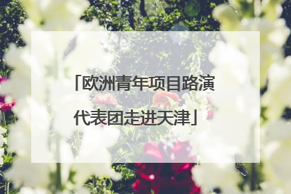 欧洲青年项目路演代表团走进天津