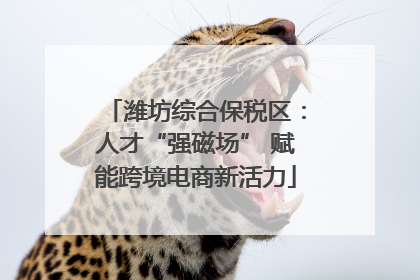 潍坊综合保税区：人才“强磁场” 赋能跨境电商新活力