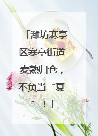 潍坊寒亭区寒亭街道麦熟归仓，不负当“夏”！