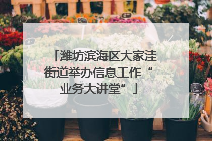 潍坊滨海区大家洼街道举办信息工作“业务大讲堂”