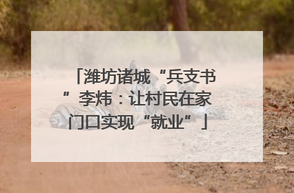 潍坊诸城“兵支书”李炜：让村民在家门口实现“就业”
