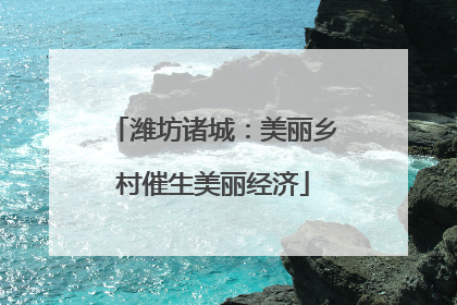 潍坊诸城：美丽乡村催生美丽经济