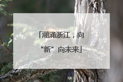 潮涌浙江，向“新”向未来