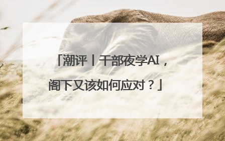 潮评丨干部夜学AI，阁下又该如何应对？