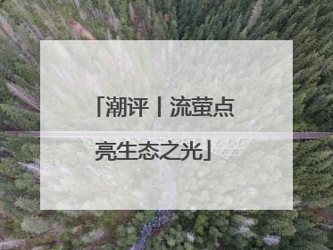 潮评丨流萤点亮生态之光
