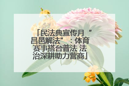 民法典宣传月“昌邑解法”：体育赛事搭台普法 法治深耕助力营商