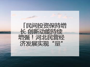 民间投资保持增长 创新动能持续增强！河北民营经济发展实现“量”“质”双提升