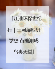江淮环保世纪行｜三河湿地研学热 黄陂湖成鸟类天堂