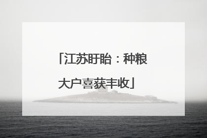 江苏盱眙：种粮大户喜获丰收