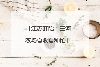 江苏盱眙：三河农场夏收夏种忙