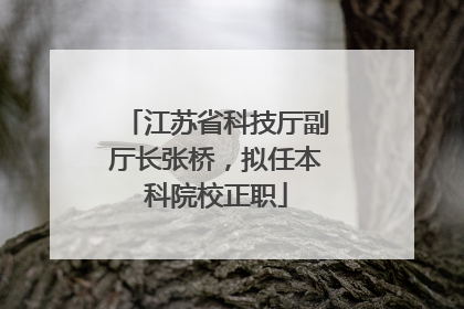 江苏省科技厅副厅长张桥，拟任本科院校正职