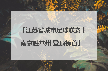 江苏省城市足球联赛丨南京胜常州 登顶榜首