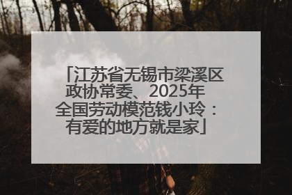 江苏省无锡市梁溪区政协常委、2025年全国劳动模范钱小玲：有爱的地方就是家