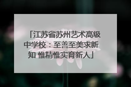 江苏省苏州艺术高级中学校：至善至美求新知 惟精惟实育新人