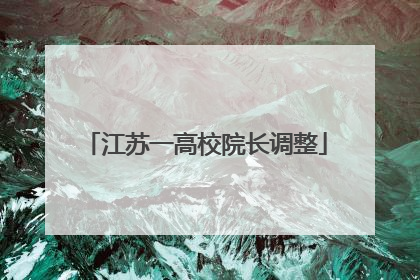 江苏一高校院长调整