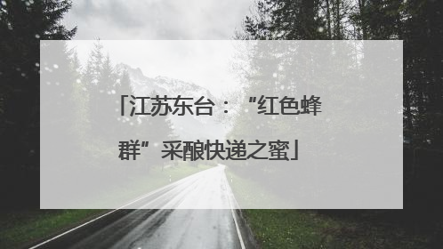 江苏东台：“红色蜂群”采酿快递之蜜