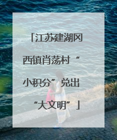 江苏建湖冈西镇肖荡村“小积分”兑出“大文明”