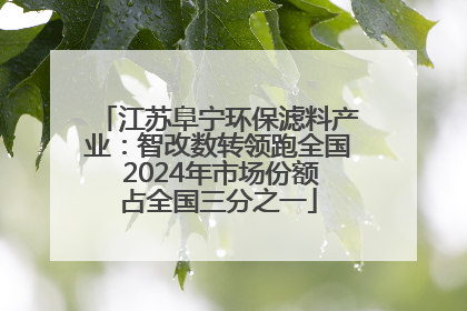 江苏阜宁环保滤料产业：智改数转领跑全国 2024年市场份额占全国三分之一