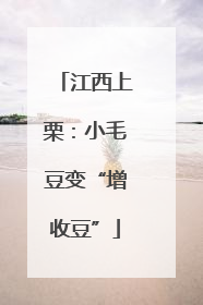 江西上栗：小毛豆变“增收豆”
