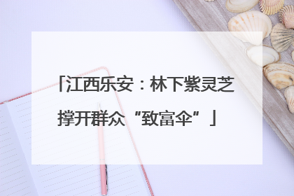 江西乐安：林下紫灵芝撑开群众“致富伞”