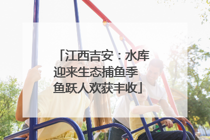 江西吉安：水库迎来生态捕鱼季 鱼跃人欢获丰收