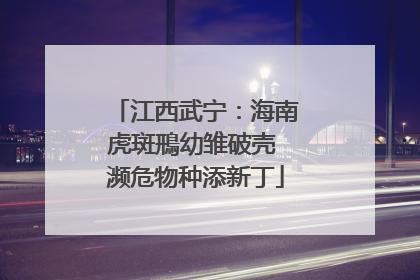 江西武宁：海南虎斑鳽幼雏破壳 濒危物种添新丁