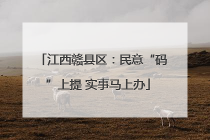 江西赣县区：民意“码”上提 实事马上办