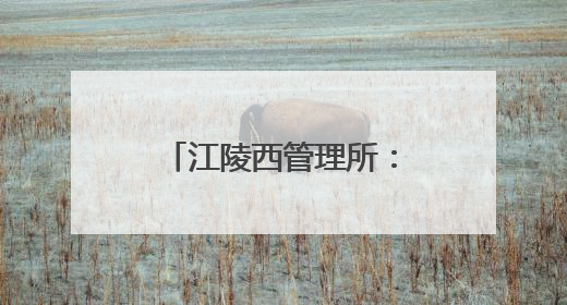 江陵西管理所：高速驿站暖如家 绿波葵花助梦飞