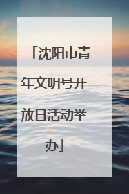 沈阳市青年文明号开放日活动举办