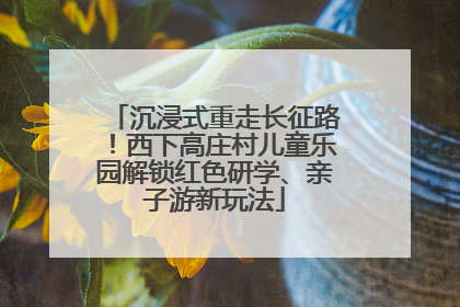 沉浸式重走长征路！西下高庄村儿童乐园解锁红色研学、亲子游新玩法