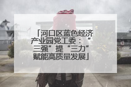 河口区蓝色经济产业园党工委：“三强”提“三力”赋能高质量发展