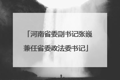 河南省委副书记张巍兼任省委政法委书记