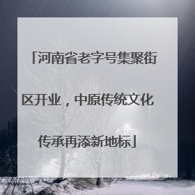 河南省老字号集聚街区开业，中原传统文化传承再添新地标