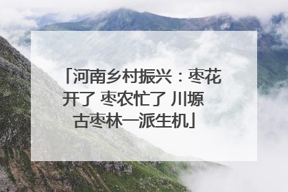 河南乡村振兴：枣花开了 枣农忙了 川塬古枣林一派生机