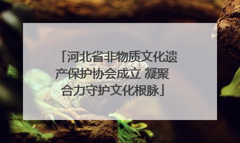 河北省非物质文化遗产保护协会成立 凝聚合力守护文化根脉