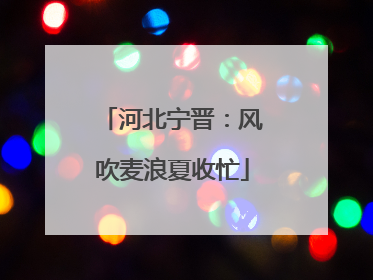 河北宁晋：风吹麦浪夏收忙