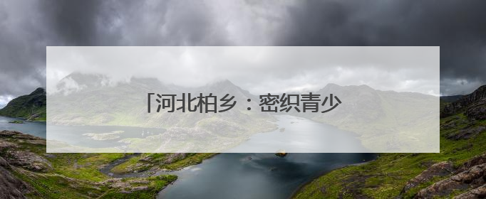 河北柏乡：密织青少年心理健康防护网