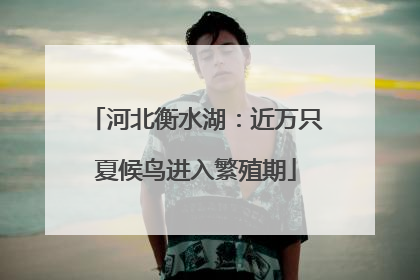 河北衡水湖：近万只夏候鸟进入繁殖期