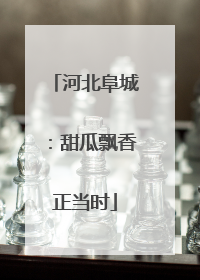 河北阜城：甜瓜飘香正当时